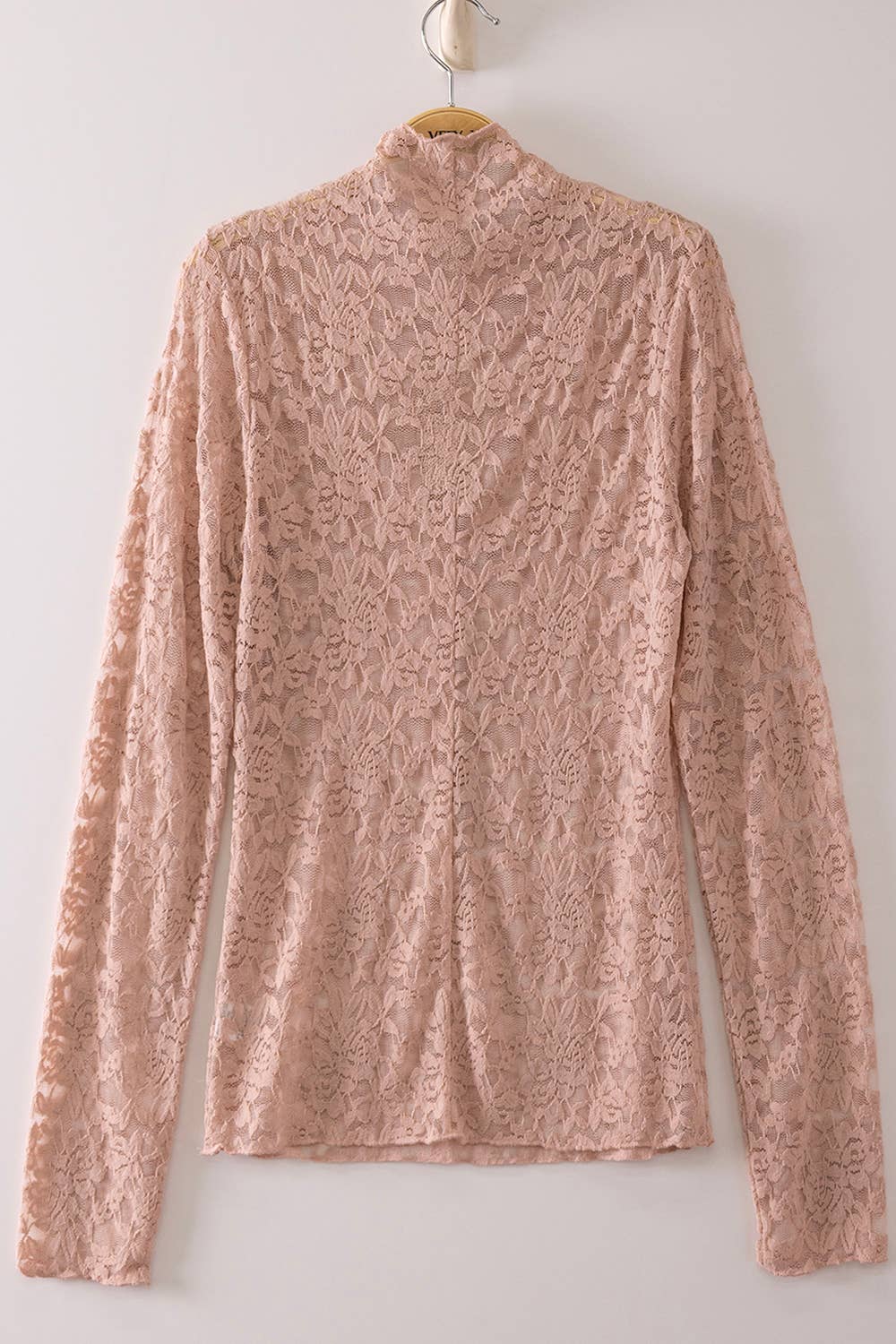 Heather High Neck Fitted Sheer Mesh Lace Top ~ Dusty Blush