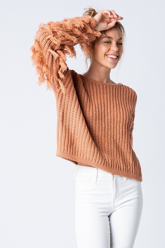 Camila Fringe Sleeve Crop Sweater ~ Dark Mauve